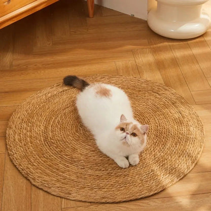 Cat Scratching Mat Braided Jute Flat Scratch & Rest