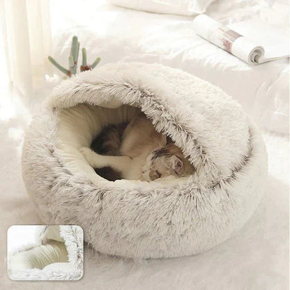 Cat & Small Dog Bed Orthopedic Foam & Raised Rim