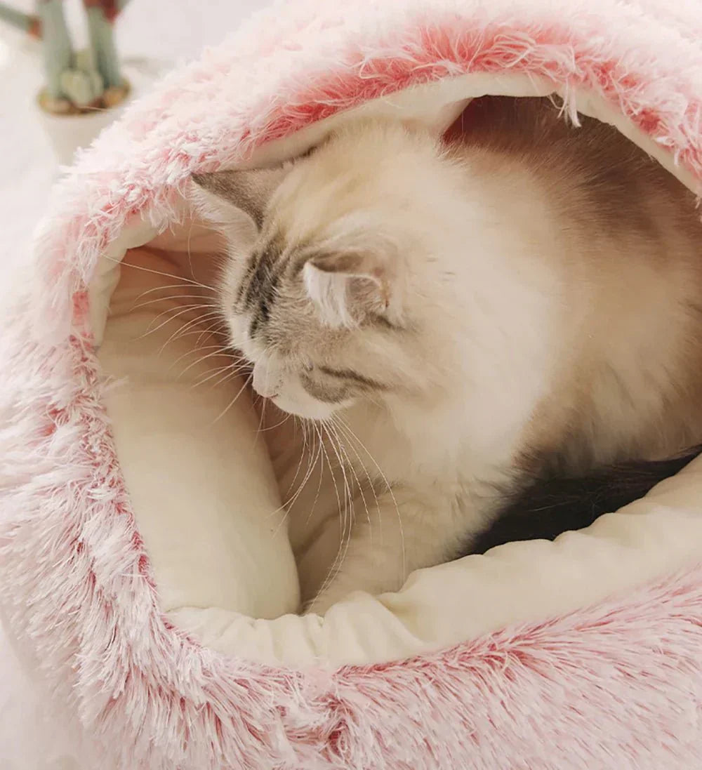 Cat & Small Dog Bed Orthopedic Foam & Raised Rim
