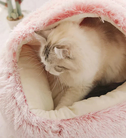 Cat & Small Dog Bed Orthopedic Foam & Raised Rim