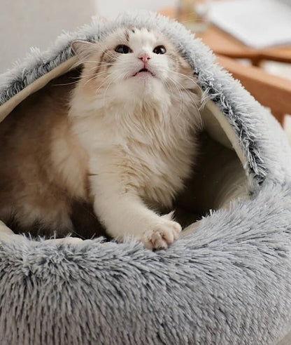Cat & Small Dog Bed Orthopedic Foam & Raised Rim