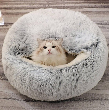 Cat & Small Dog Bed Orthopedic Foam & Raised Rim