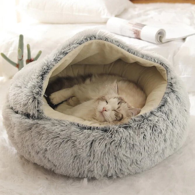 Cat & Small Dog Bed Orthopedic Foam & Raised Rim