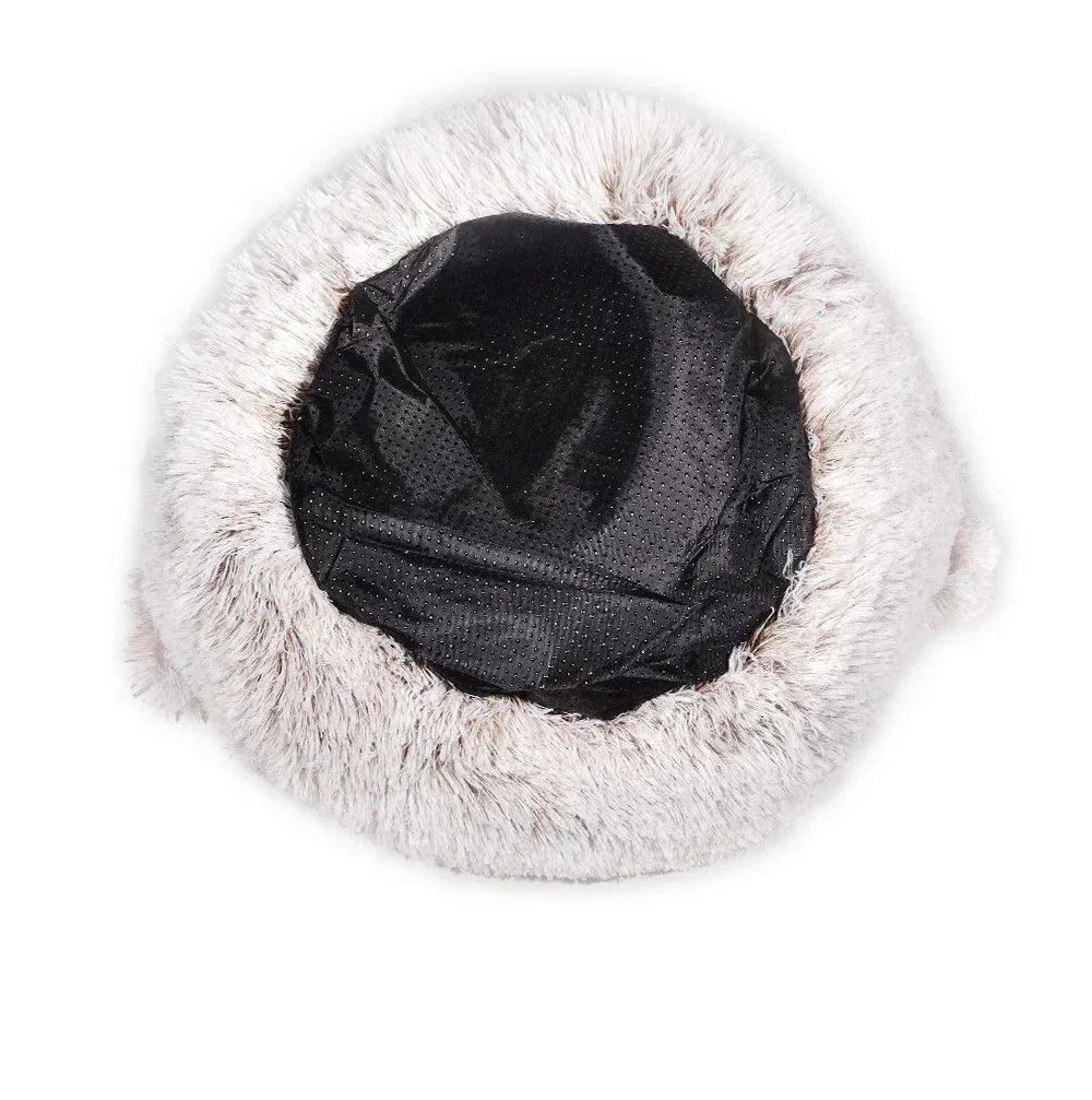 Cat & Small Dog Bed Orthopedic Foam & Raised Rim