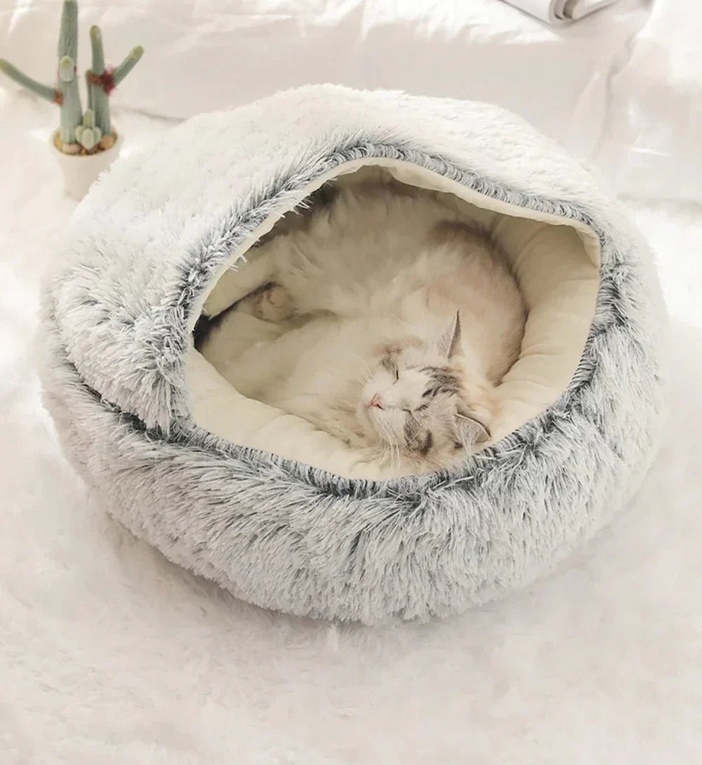 Cat & Small Dog Bed Orthopedic Foam & Raised Rim