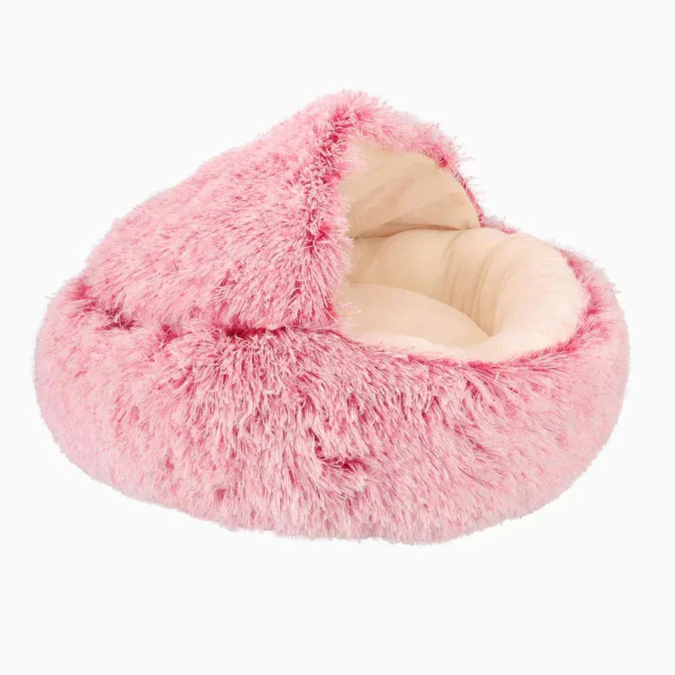 Cat & Small Dog Bed Orthopedic Foam & Raised Rim