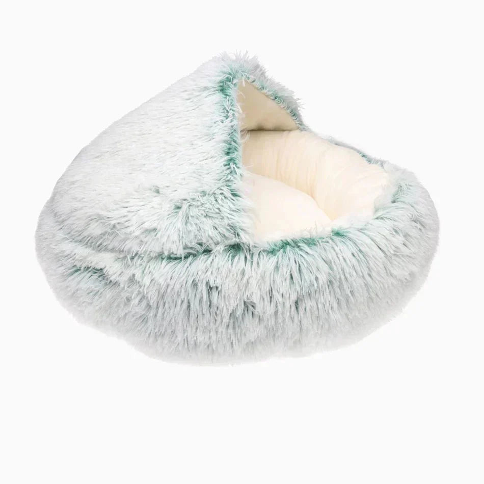Cat & Small Dog Bed Orthopedic Foam & Raised Rim