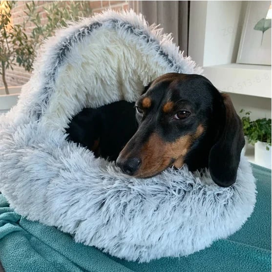 Cat & Small Dog Bed Semi-Enclosed Plush Non-Slip Base