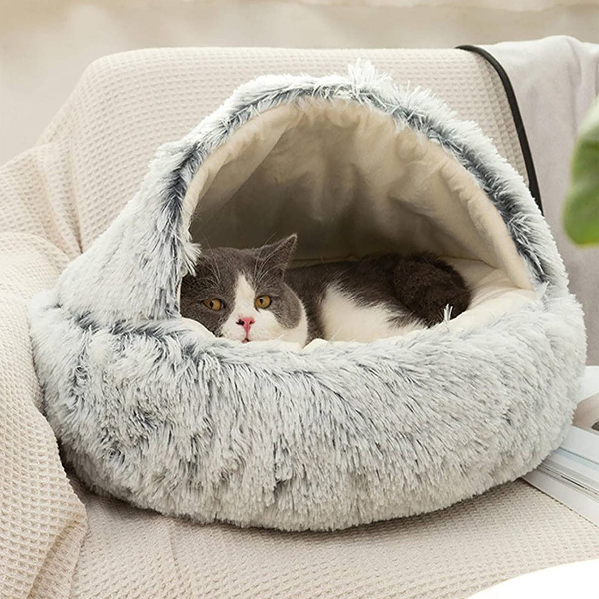 Cat & Small Dog Bed Semi-Enclosed Plush Non-Slip Base