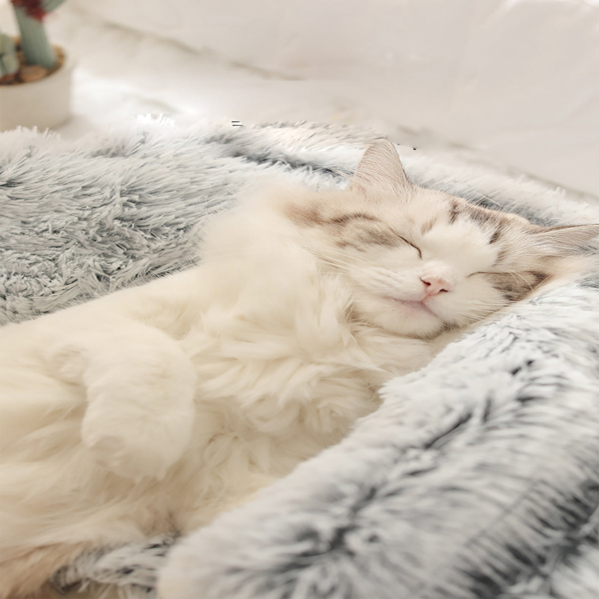 Cat & Small Dog Bed Semi-Enclosed Plush Non-Slip Base