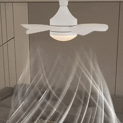 Ceiling Fan E27 Screw-In Integrated LED Remote & Timer