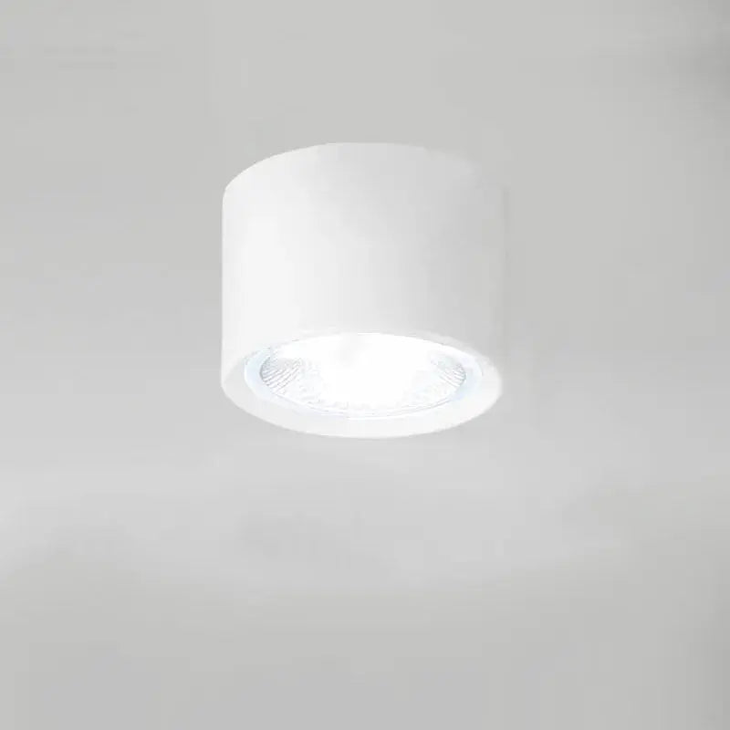 Ceiling Spotlight Adjustable Direction COB LED