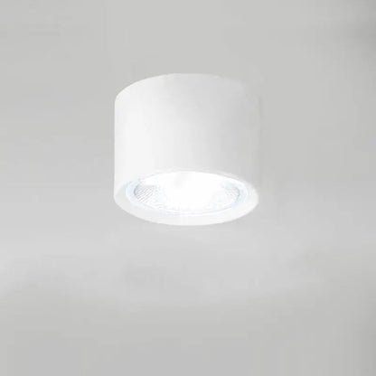 Ceiling Spotlight Adjustable Direction COB LED