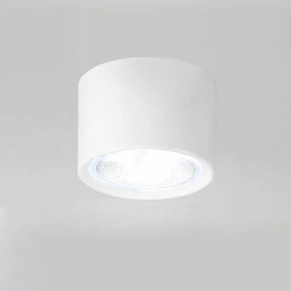 Ceiling Spotlight Adjustable Direction COB LED
