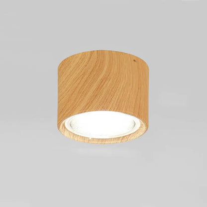 Ceiling Spotlight Adjustable Direction COB LED