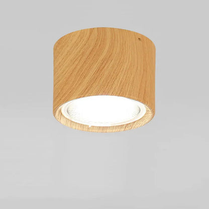 Ceiling Spotlight Adjustable Direction COB LED