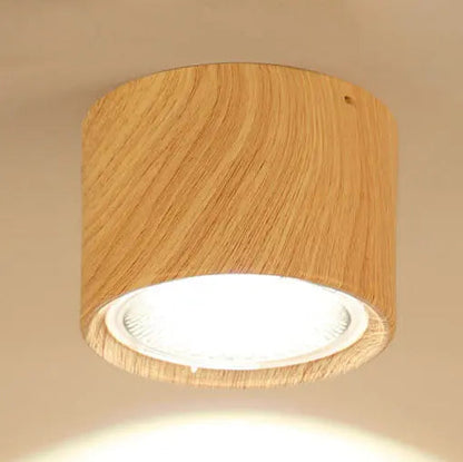 Ceiling Spotlight Adjustable Direction COB LED