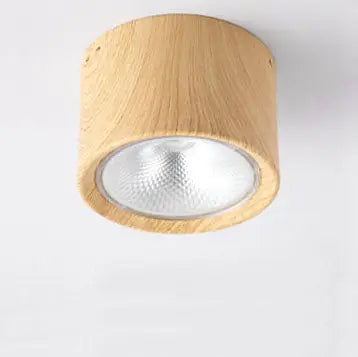 Ceiling Spotlight Adjustable Direction COB LED