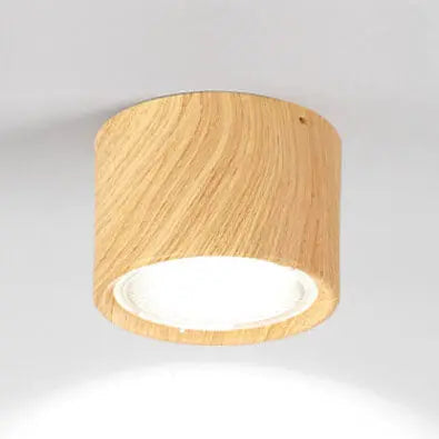 Ceiling Spotlight Adjustable Direction COB LED