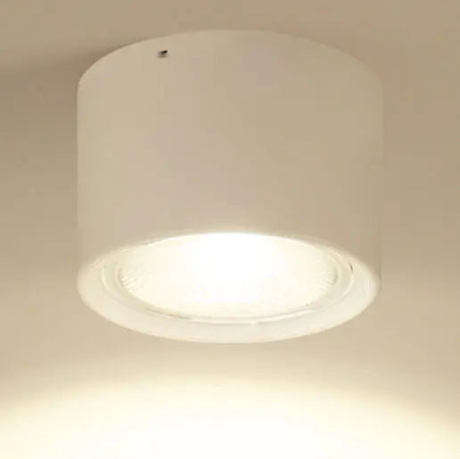 Ceiling Spotlight Adjustable Direction COB LED