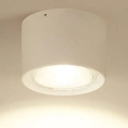 Ceiling Spotlight Adjustable Direction COB LED