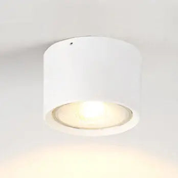 Ceiling Spotlight Adjustable Direction COB LED