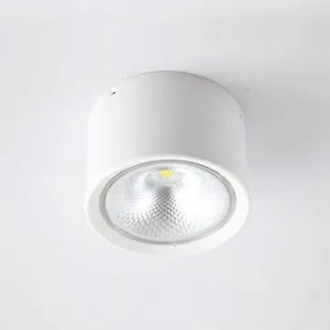 Ceiling Spotlight Adjustable Direction COB LED