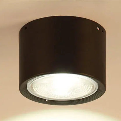 Ceiling Spotlight Adjustable Direction COB LED