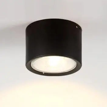 Ceiling Spotlight Adjustable Direction COB LED