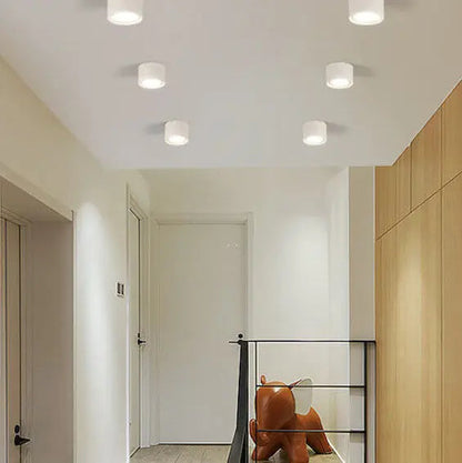 Ceiling Spotlight Adjustable Direction COB LED
