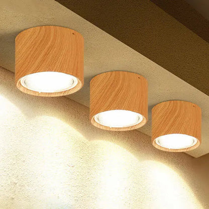 Ceiling Spotlight Adjustable Direction COB LED