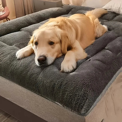 Dog Bed Extra Thick Padding & Plush Surface