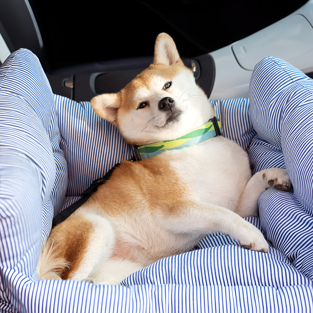 Dog Car Seat Padded Raised Sides & Seatbelt