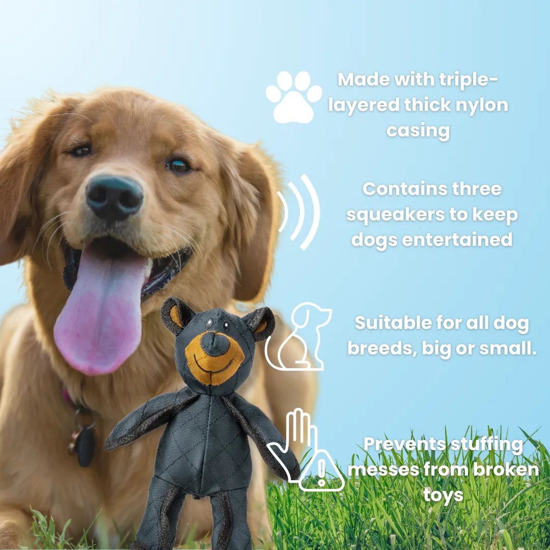 Dog Chew Toy Reinforced Multi-Layer Dental-Cleaning BPA-Free