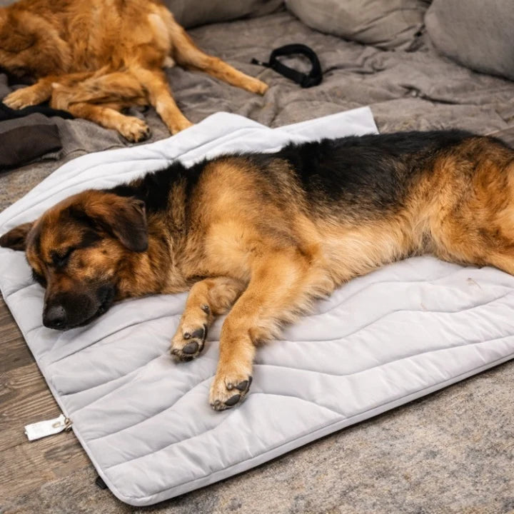 Dog Cooling Mat Self-Activating Gel Machine Washable