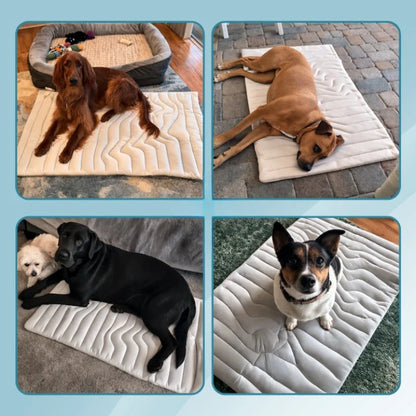 Dog Cooling Mat Self-Activating Gel Machine Washable