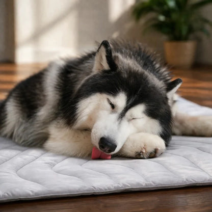 Dog Cooling Mat Self-Activating Gel Machine Washable