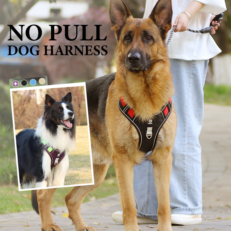 Dog Harness Anti-Pull Front Clip LED Collar & Leash