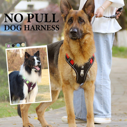 Dog Harness Anti-Pull Front Clip LED Collar & Leash