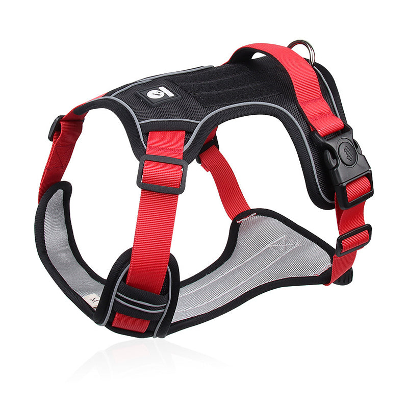 Dog Harness Anti-Pull Front Clip LED Collar & Leash