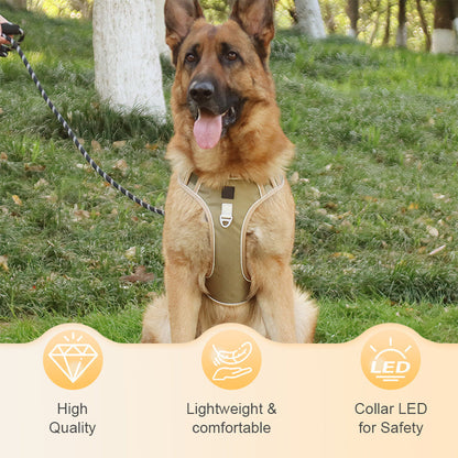 Dog Harness Anti-Pull Front Clip LED Collar & Leash
