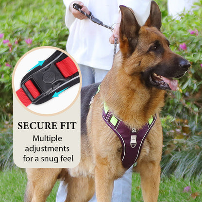 Dog Harness Anti-Pull Front Clip LED Collar & Leash