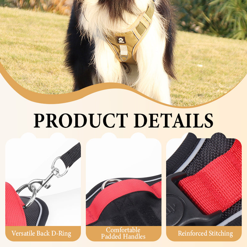 Dog Harness Anti-Pull Front Clip LED Collar & Leash
