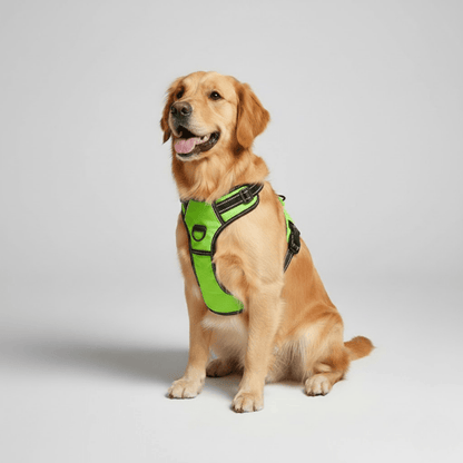 Dog Harness Anti-Pull & Padded Handle Reflective Straps
