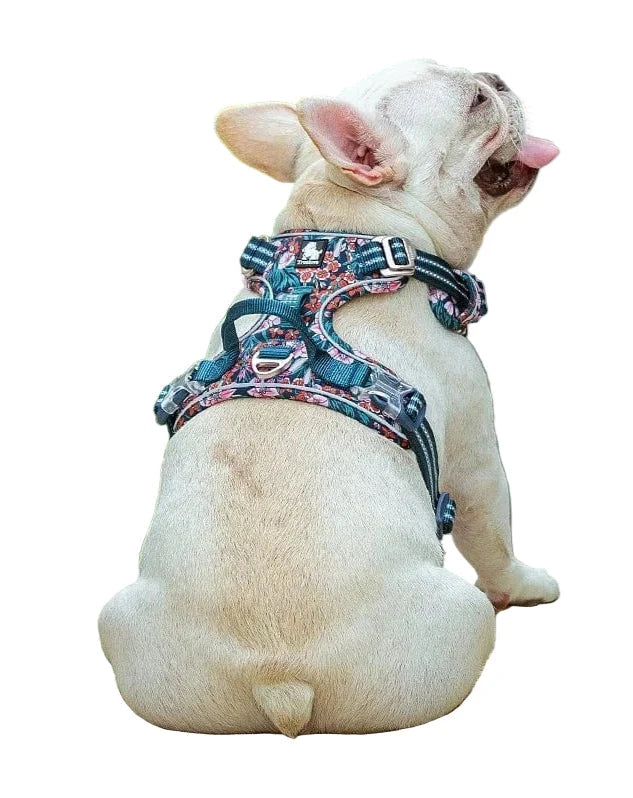 Dog Harness Breathable Fabric Adjustable Straps & Sturdy Buckles