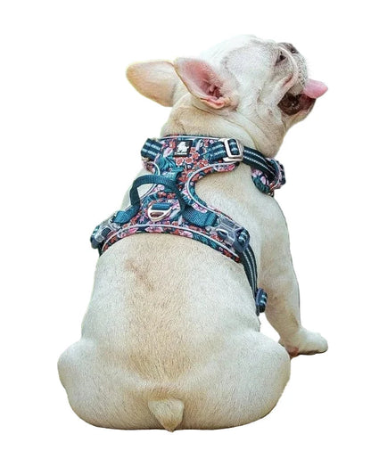 Dog Harness Breathable Fabric Adjustable Straps & Sturdy Buckles