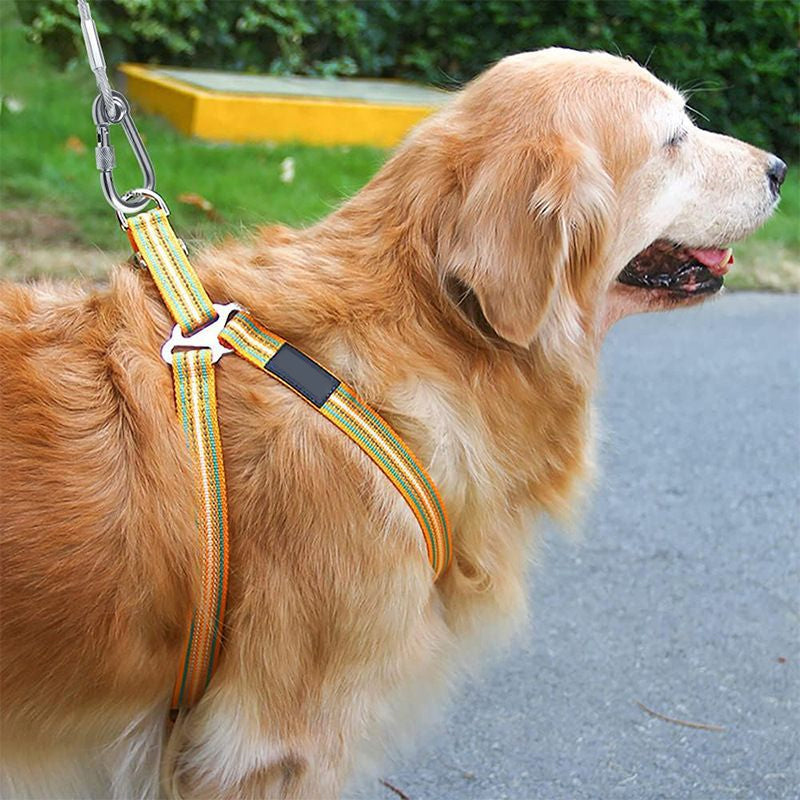 Dog Leash Chew-Resistant Steel Core Heavy-Duty Carabiner