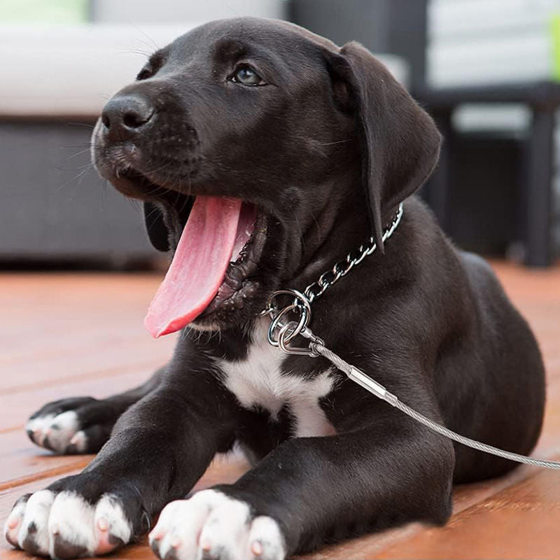 Dog Leash Chew-Resistant Steel Core Heavy-Duty Carabiner