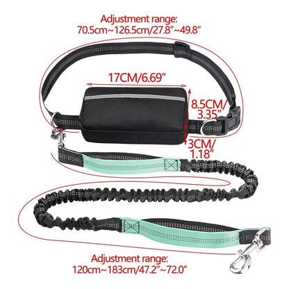 Dog Leash Hands-Free Hip Belt Shock-Absorbing Elastic Padded Handles