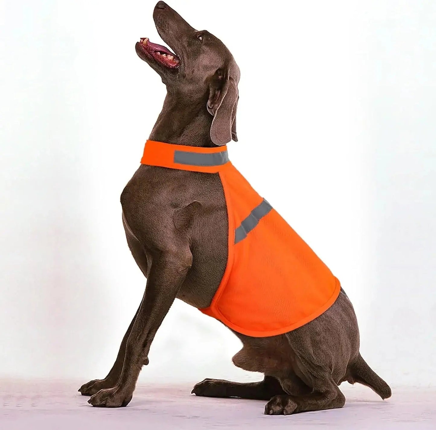 Dog Safety Vest Reflective Strips Adjustable Straps Lightweight